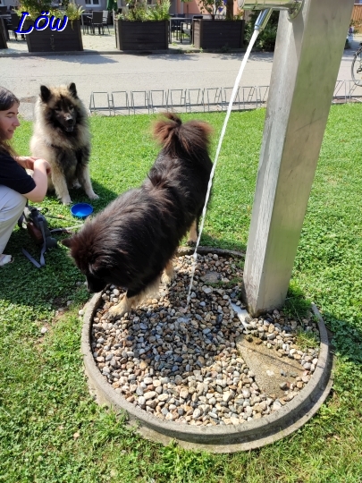 17.8.2024 - Wo ist das Wasser?